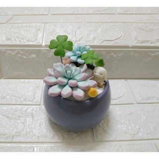 Tiểu cảnh Sen Đá bằng đất sét Nhật - Thái Handmade bền vĩnh cửu