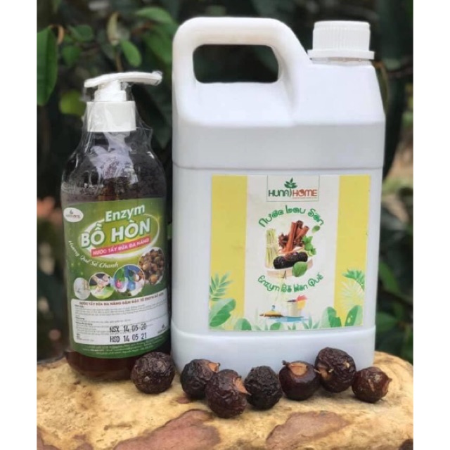 combo lau sàn và enzym bồ hon