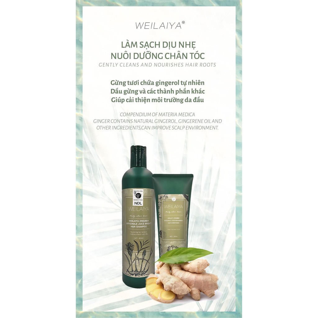 BỘ DẦU GỘI NGỪA RỤNG TÓC - KÍCH MỌC TÓC WEILAIYA CHÍNH HÃNG | BigBuy360 - bigbuy360.vn
