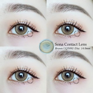 Lens Brown Hàn Có Độ Cận + khay dụng cụ