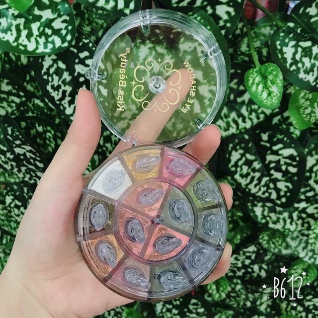 Mắt nhũ bột 14 màu