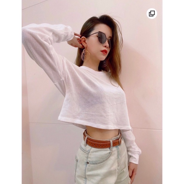 Áo croptop dài tay lưới trắng nhỏ vnxk