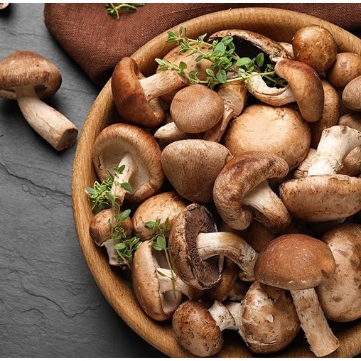Nấm hương rừng xiên khô đặc sản Sa Pa phơi khô tự nhiên dưới ánh mặt trời đảm bảo chất lượng 500g