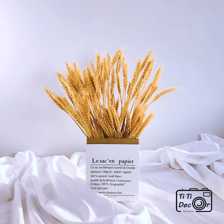 Bó Hoa Bông Lúa Mạch Khô TiTi Decor, Hoa Lá Khô Trang Trí
