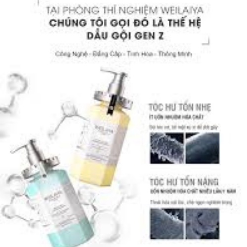 [Freeship+Qùa] Dầu Gội Phục Hồi Tóc Hư Tổn Nấm Truffle Weilaiya, Phục Hồi Tóc Khô Xơ, Sạch Gàu 450ml