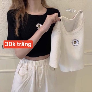 THANH LÝ CROPTOP GIÁ 30k