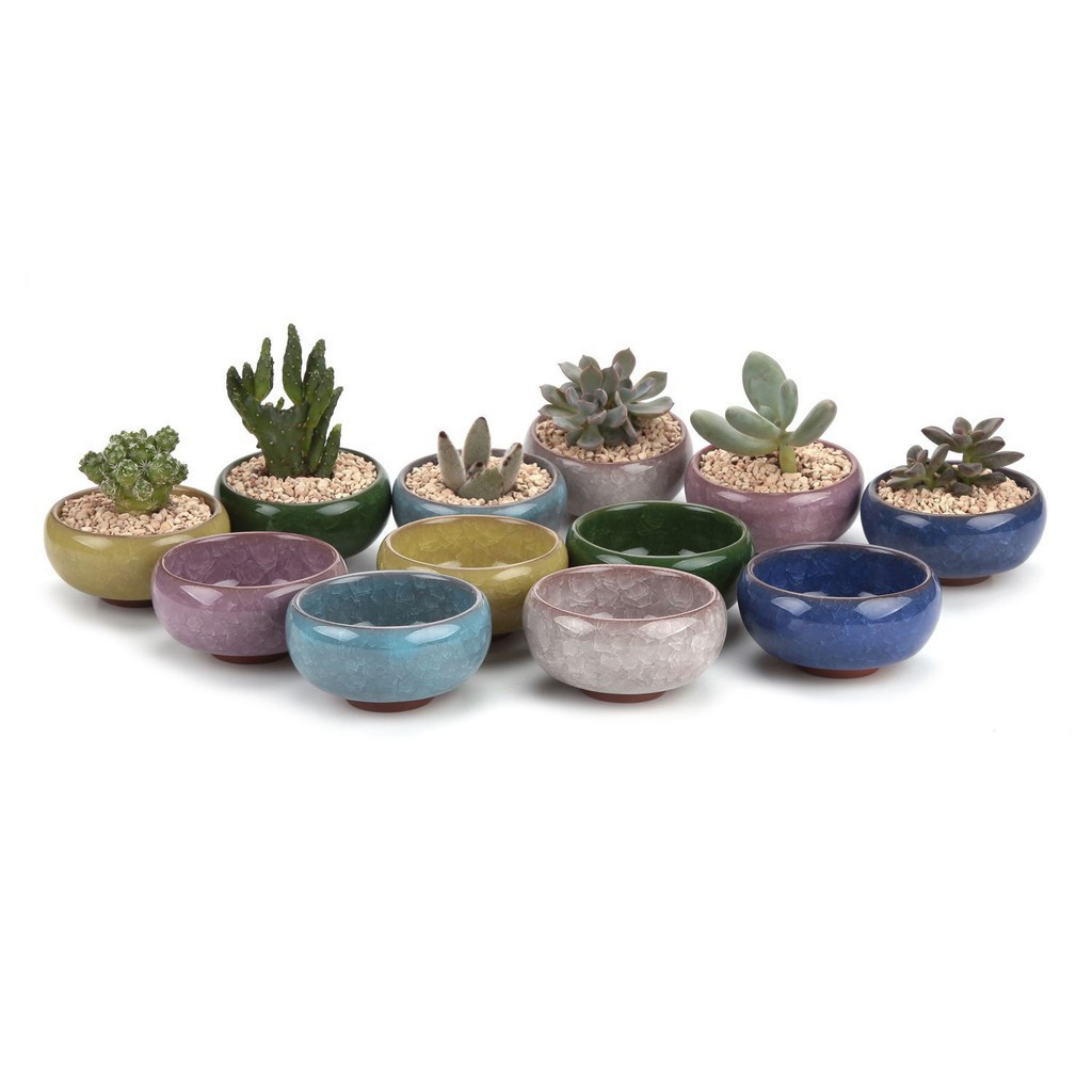 Chậu sứ mini siêu cưng trồng sen đá size 5.7x 3.2cm - Giao màu ngẫu nhiên như hình - Smart Baby