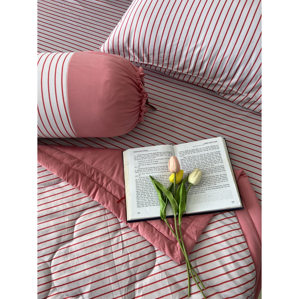 BỘ DRAP GỐI DRAP THUN HÀN QUỐC  CAO CẤP