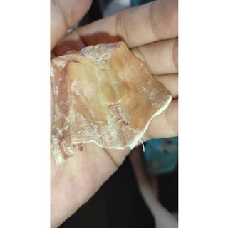 500g Mực Câu Cà Mau (16~18 con)