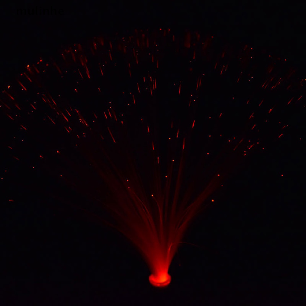 Đèn LED Dạng Sợi Quang Nhiều Màu Sắc Dùng Trang Trí Tiệc Cưới Hoặc Giáng Sinh