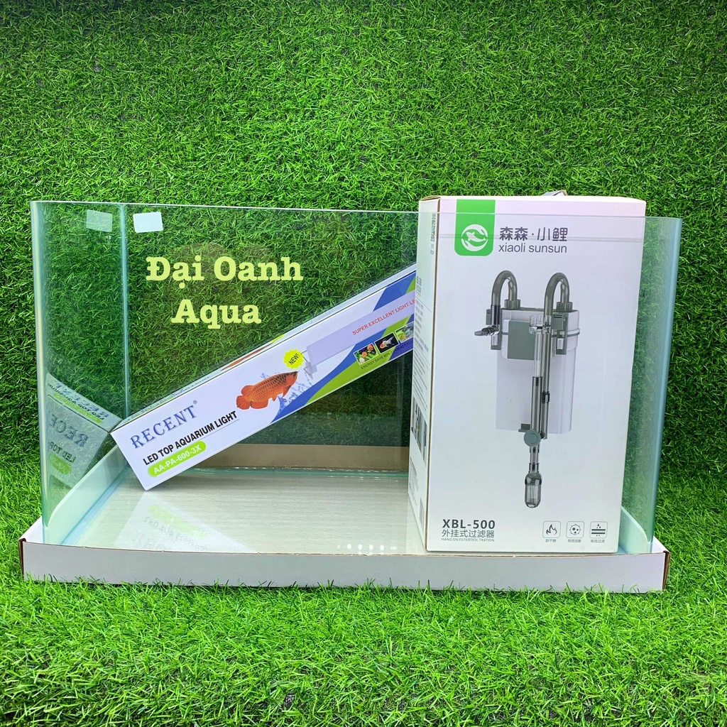 Bể Cá Kính Đúc Bo Góc 50cm, Dài 50cm Rộng 27cm Cao 30cm - Bể Cá Cảnh Thủy Sinh