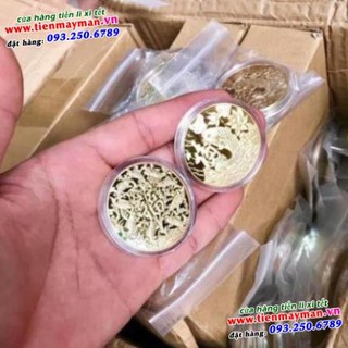 Đồng xu cá chép mạ vàng - phong thủy may mắn
