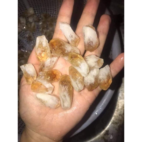 đá citrine trụ và mầm