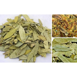LÁ PHAN TẢ DIỆP khô loại 1 (mới, sạch, đẹp) [500g]