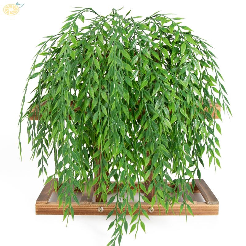 Cây mọng nước giả treo tường trang trí