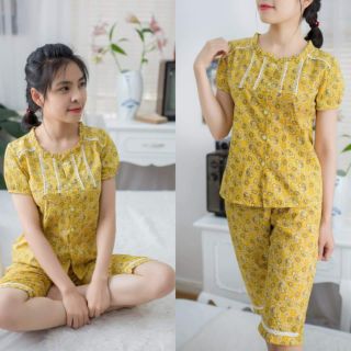 Bộ sò xinh vải thô hàn loại 1