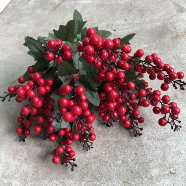 cherry chùm 7 nhánh