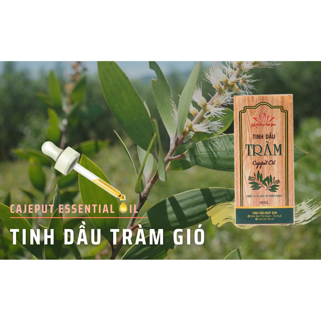 [Tinh dầu Tràm Huế] NGUYÊN CHẤT Búp Sen 80ml - Tinh dầu tràm gió thiên nhiên chăm sóc sức khỏe cho bé