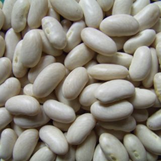 1 kg đậu trắng Đà Lạt