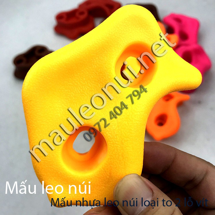 Mấu leo núi loại to 2 lỗ vít