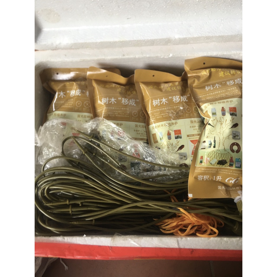 Tuí Dịch Truyền Dinh Dưỡng Cho Cây Công Trình, Cây Cảnh  Giúp Cây Bật Mầm Khỏe, Ra Rễ Nhanh, Cứu Cây
