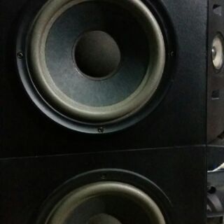 Loa Bose 301 Seri IV