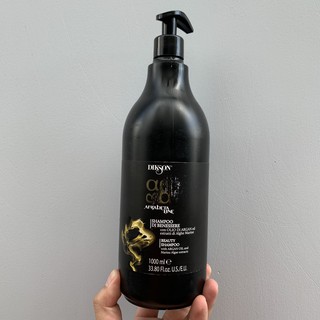 Dầu gội phục hồi cấu trúc tóc Argabeta Line Beauty Dikson 1000ml