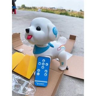 chó điều khiển