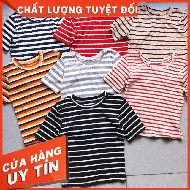 ÁO CROPTOP SỌC THUN GÂN XUẤT DƯ- ảnh thật tự chụp