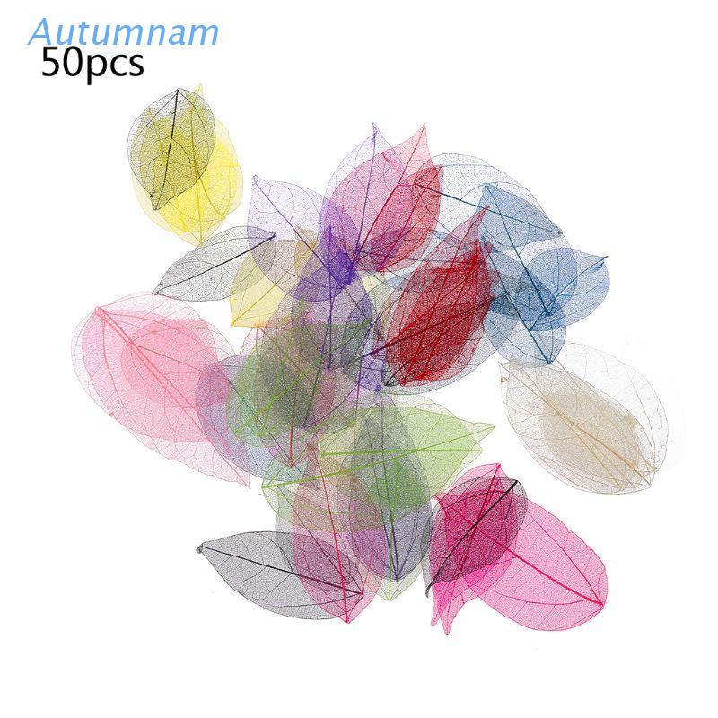 Bộ 50 Hoa Lá Ép Khô Nhiều Màu Sắc Dùng Làm Trang Sức