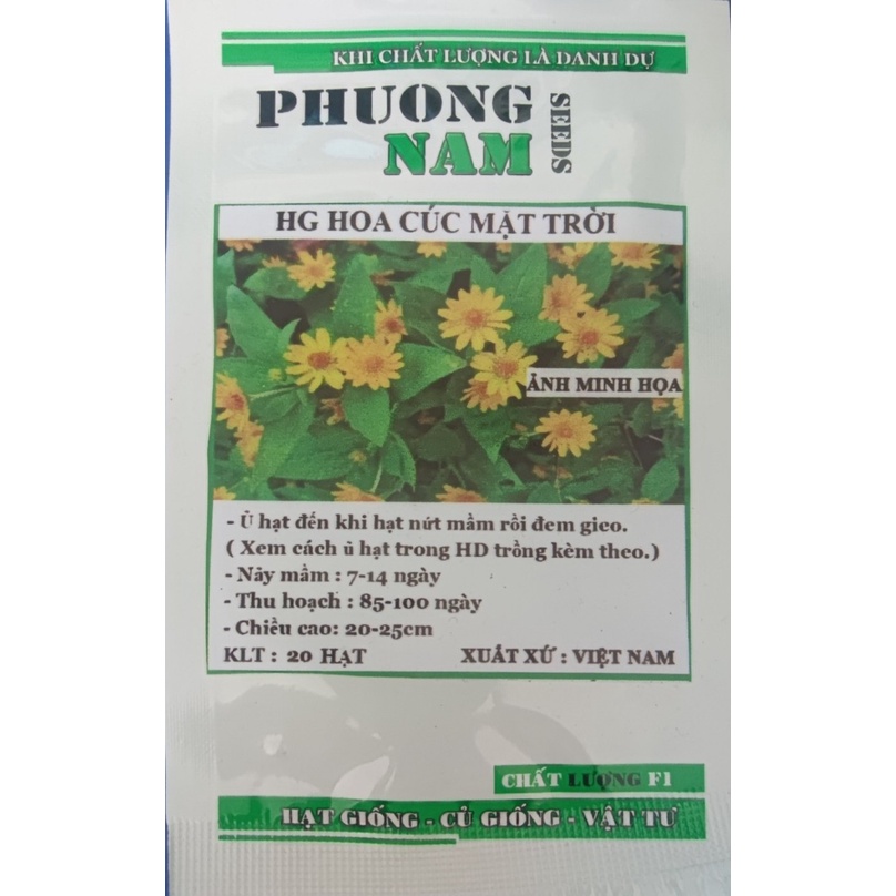 Hạt giống hoa cúc mặt trời  gói 20 hạt
