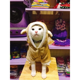 Áo Cosplay cho chó mèo