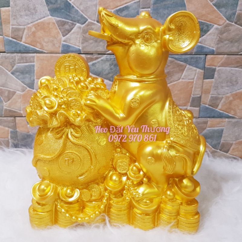 Chuột vàng tiết kiệm kích thước to