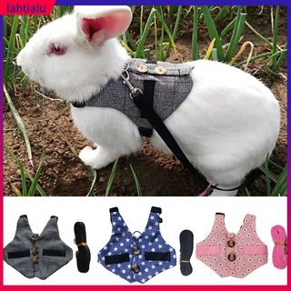 Áo Vest Kèm Dây Dắt Thỏ Cưng Đi Dạo An Toàn Tiện Dụng