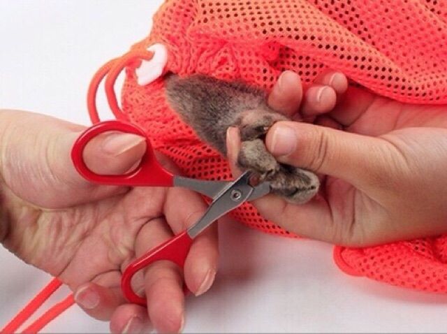 Túi lưới tắm cho mèo