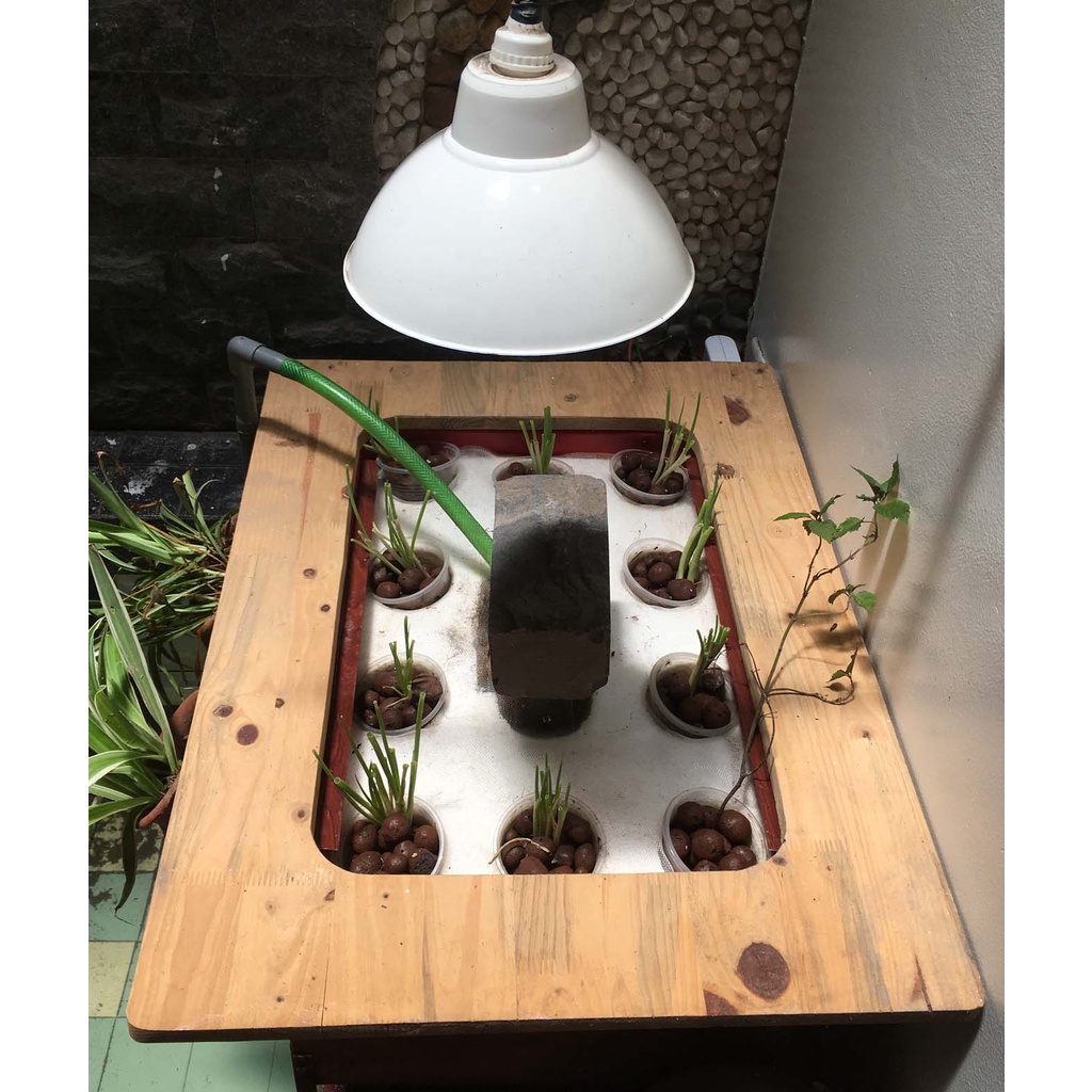 Bộ trồng cây thủy canh aquaponics hoàn chỉnh