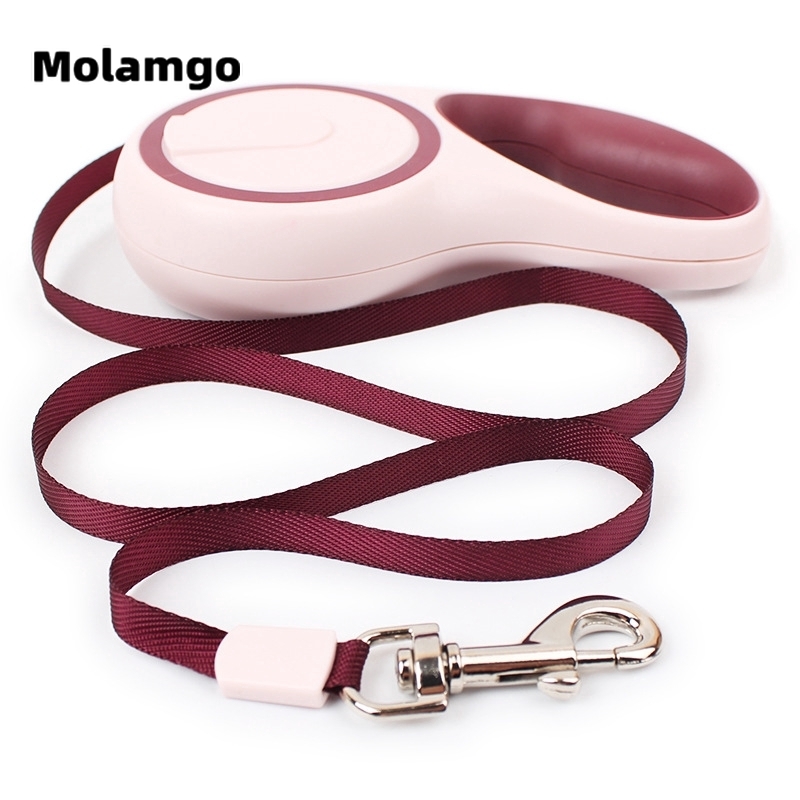 Dây Đeo MOLAMGO Phụ Kiện Có Thể Thu Gọn Thoải Mái Dành Cho Thú Cưng