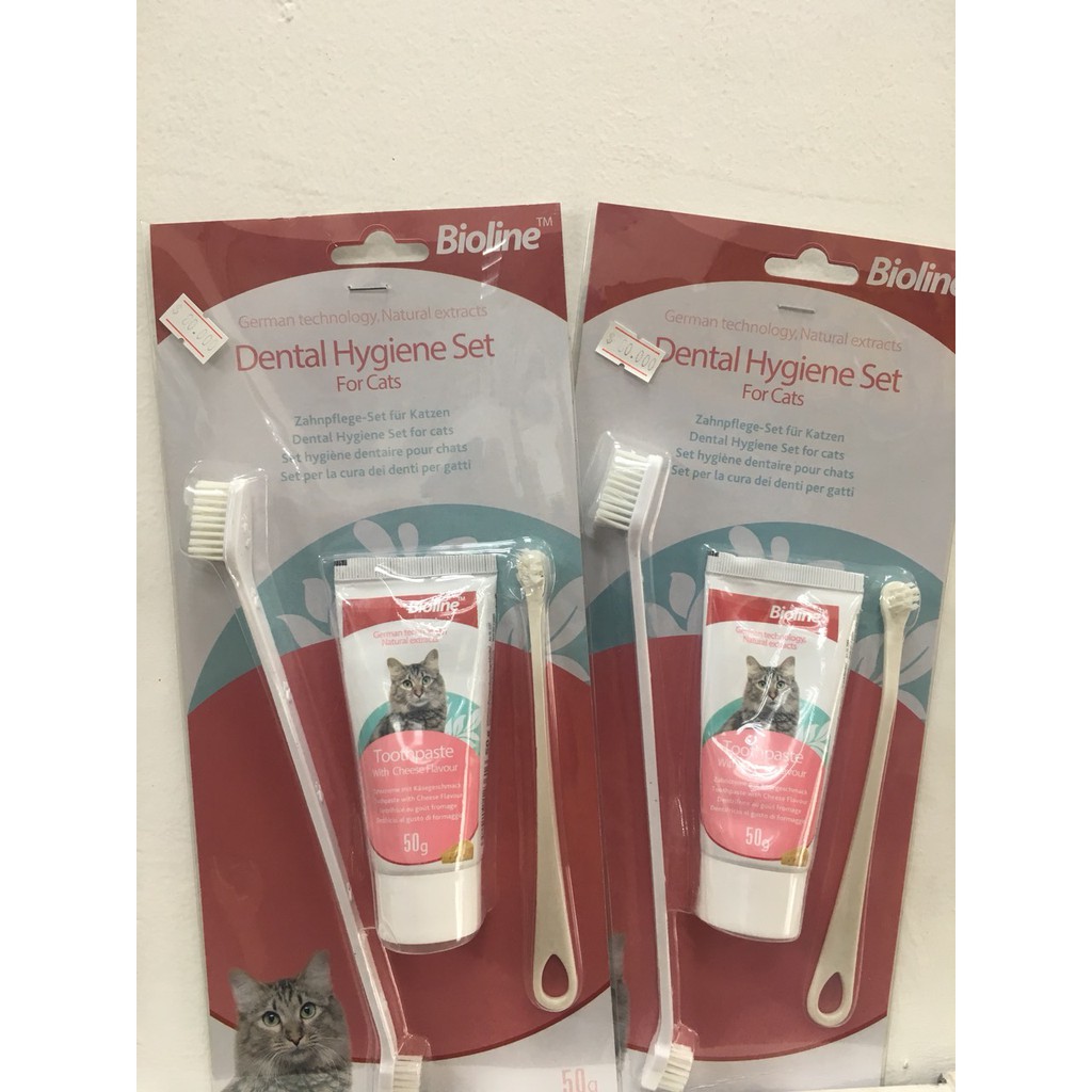 Bộ Kem đánh răng cho mèo Bioline 50g + Bàn chải