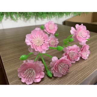 1KG HOA ĐÀO NHẠT CHÙM