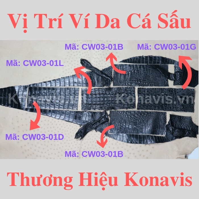 Ví mini da cá sấu Konavis màu nâu làm từ vân bụng cá sấu nguyên con - CW05-02B