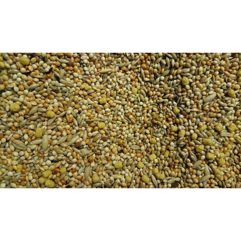 [Mã PET50K giảm Giảm 10% - Tối đa 50K đơn từ 250K] Hạt tổng hợp hàng ý dành cho Yến phụng gói nguyên seal 1kg