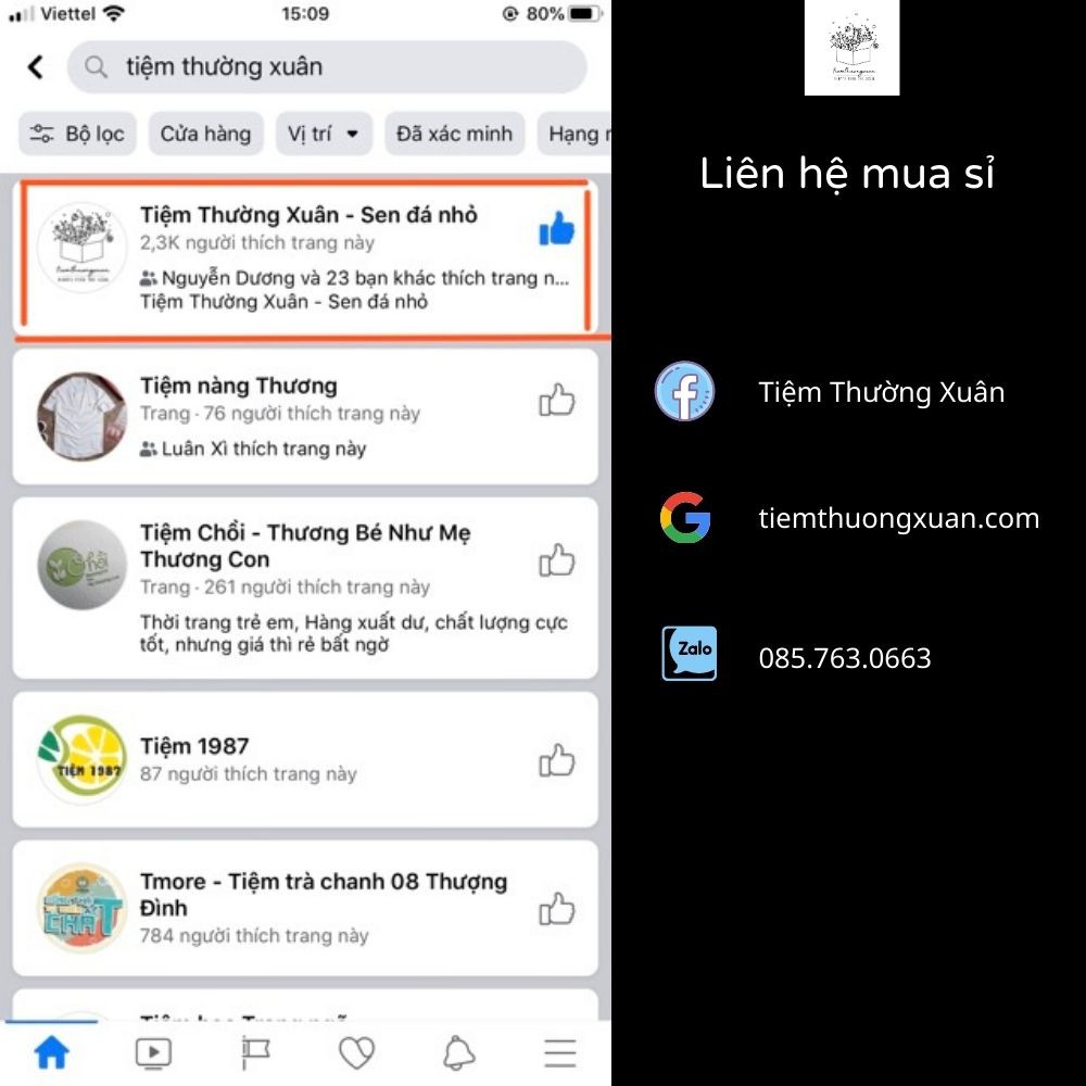 Cloudy Box - Combo sen đá, xương rồng - Quà sinh nhật