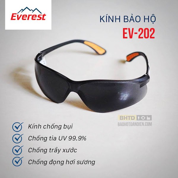 (Rẻ, Chính Hãng!!) Kính bảo hộ Everest EV202