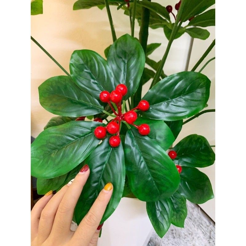 cây cherry (kim ngân lượng) cao 80cm - cây giả