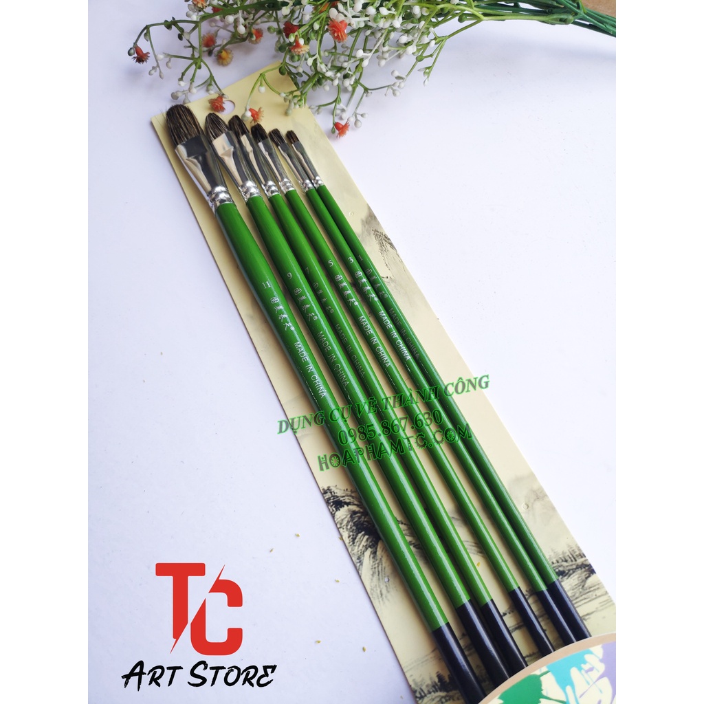 Bộ 6 Cây cọ Oval Lông chồn - Thân xanh lá