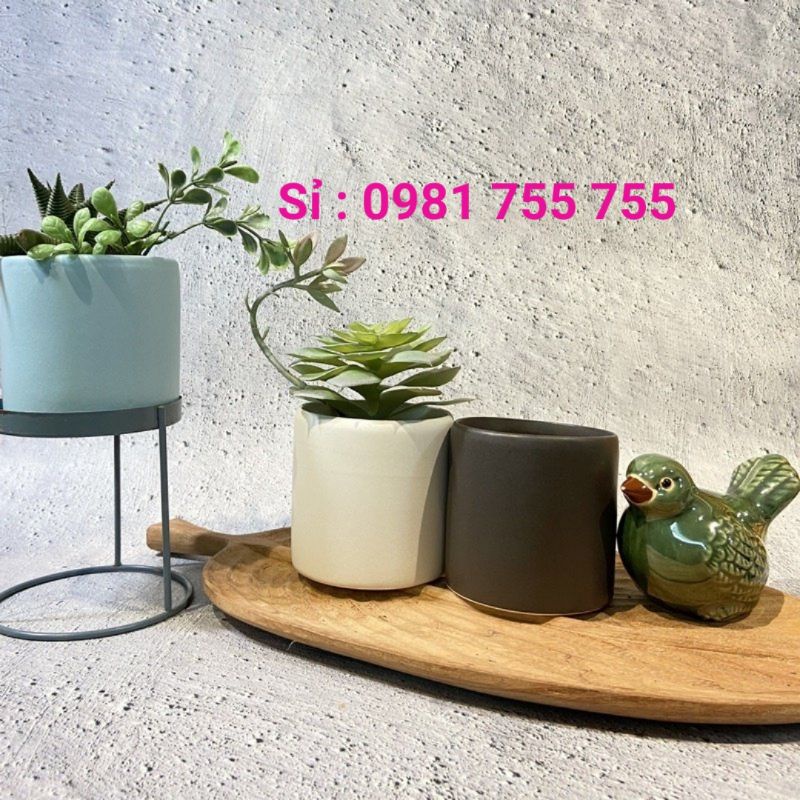 Chậu Sứ Bát Tràng mini trụ tròn chậu trồng cây sen đá xương rồng, hàng sẵn