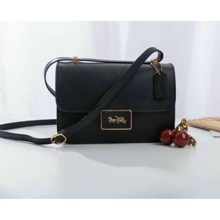 Túi Coach da thật