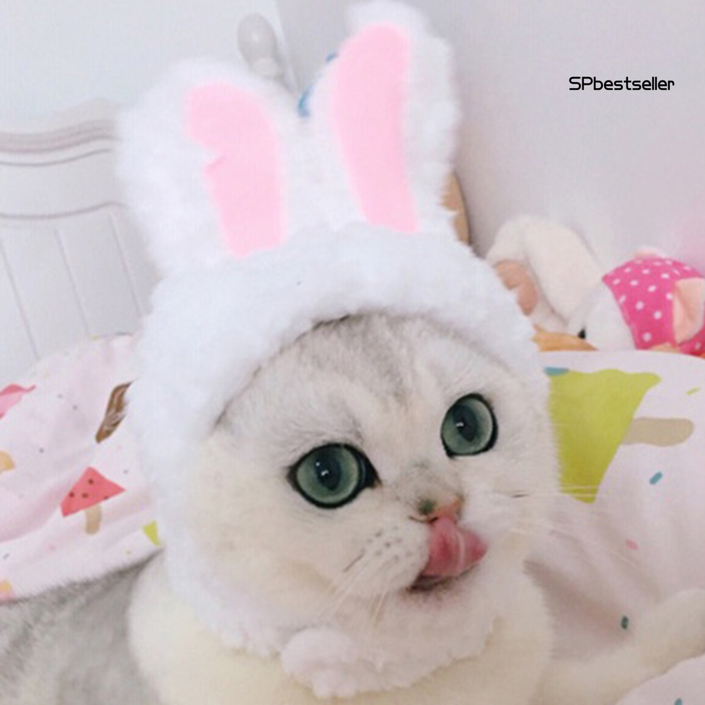 Mũ Trùm Đầu Co Giãn Cho Thú Cưng