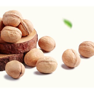 1KG QUẢ ÓC CHÓ
