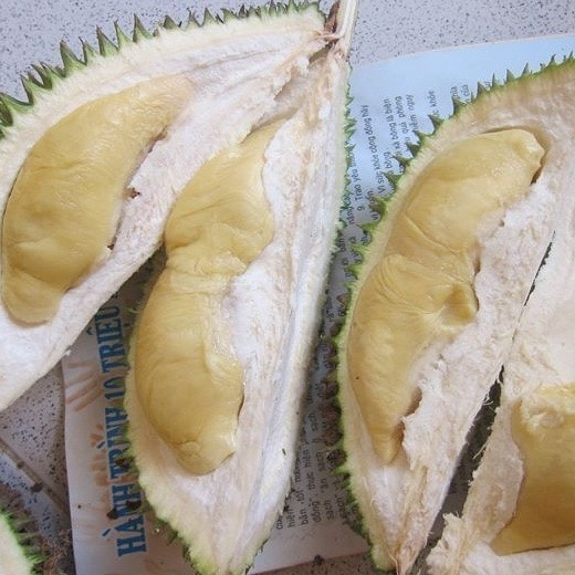 Cây giống Sầu riêng  Khổ qua Xanh. .